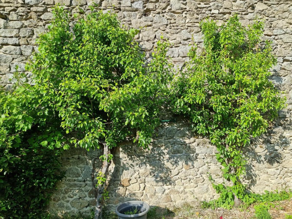 L'Atrium Bed and Breakfast Piégut-Pluviers Exterior foto